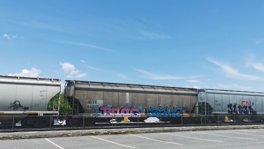 NDYX 842071